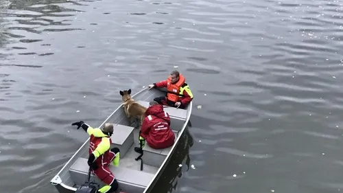 Dunkerque : de nombreux secours mobilisés pour retrouver une...